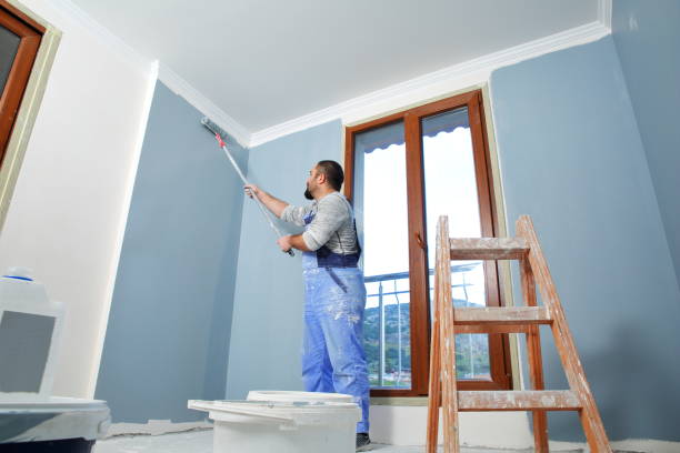 Best Black Mold Removal  in Inverness, CA