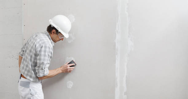 Professional Mold Removal in Inverness, CA