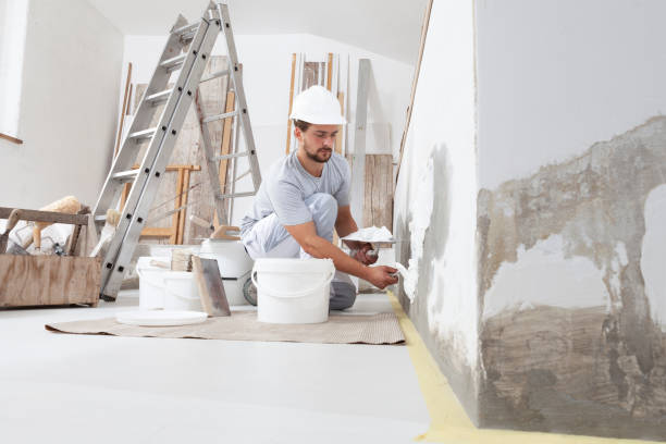 Best Asbestos and Lead Testing During Mold Inspection  in Inverness, CA