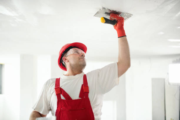 Best Air Quality Testing for Mold Spores  in Inverness, CA