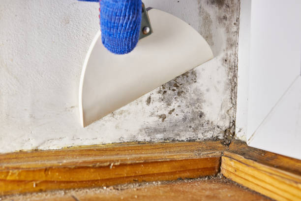 Best Indoor Air Quality Assessment  in Inverness, CA