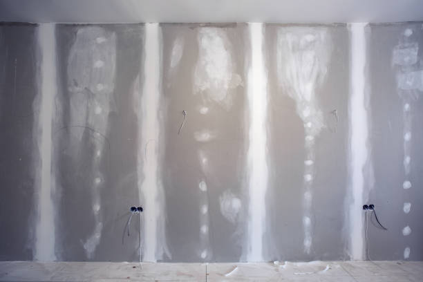 Best Mold Documentation for Insurance Claims  in Inverness, CA
