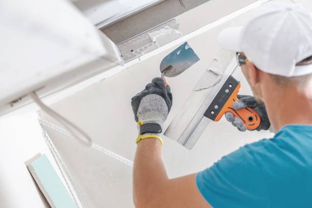 Best Water Damage & Mold Remediation  in Inverness, CA